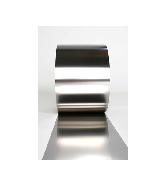 Stainless Steel Strip 